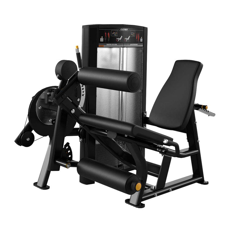 Cybex Ion Series Seated Leg Curl/Extension