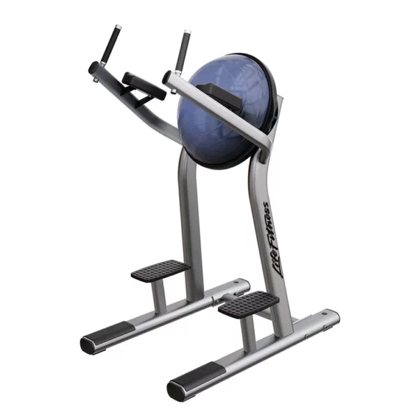 life-fitness-signature-series-leg-raise-platinum-black-1000x1000_750x (1)