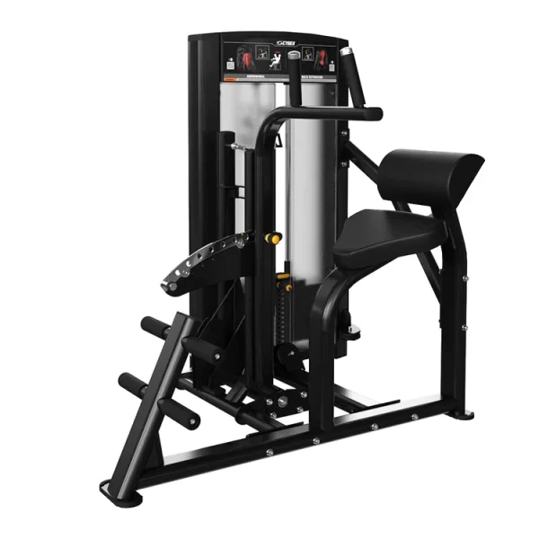cybex-ion-abdonimal-back-extension-1000x1000_750x cybex-ion-abdonimal-back-extension-1000x1000_750x